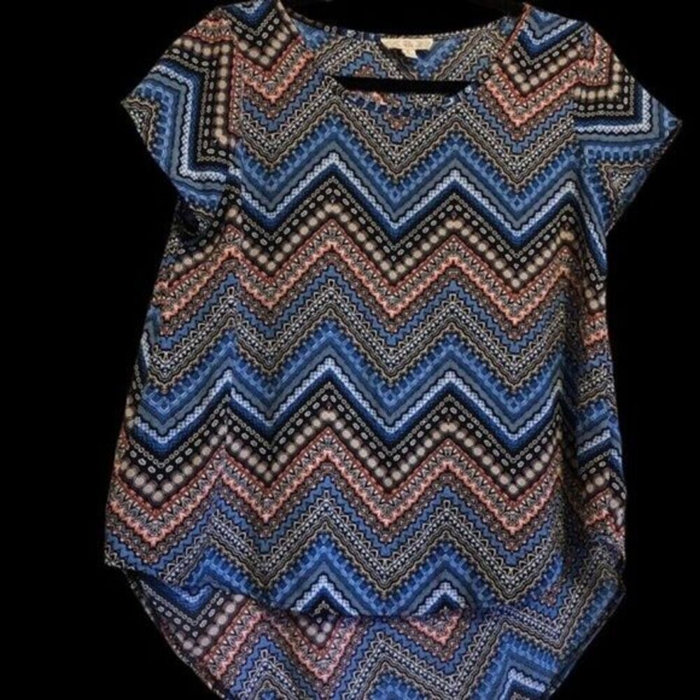 Pink Rose Blue Flowery V-Neck Top Junior Size L